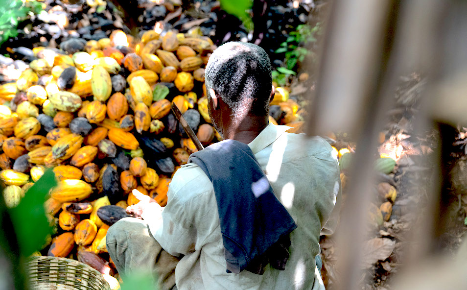 Ghana Crop Outlook: Sept ’21